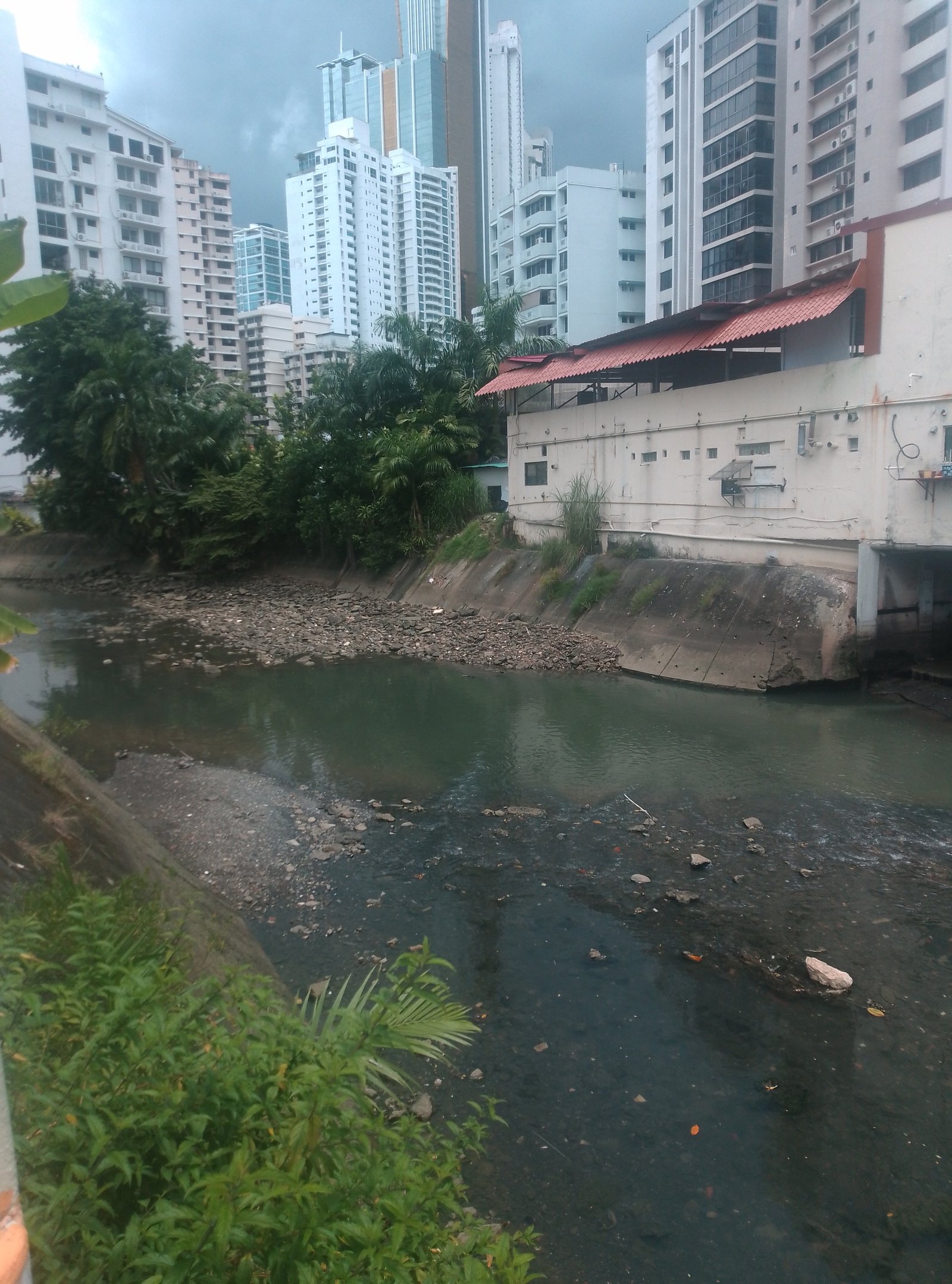 Limpieza y Saneamiento – Bella Vista, Panamá, Panamá